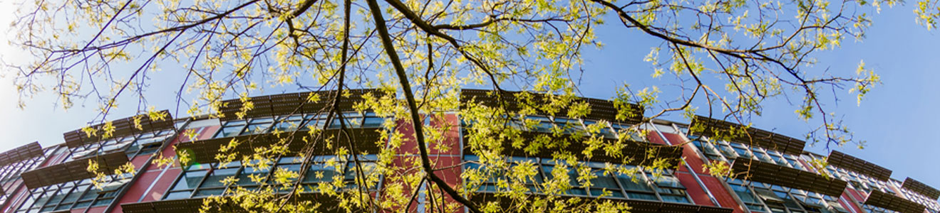 william威廉中文官网